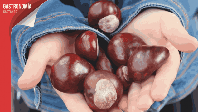 recolecta de castañas