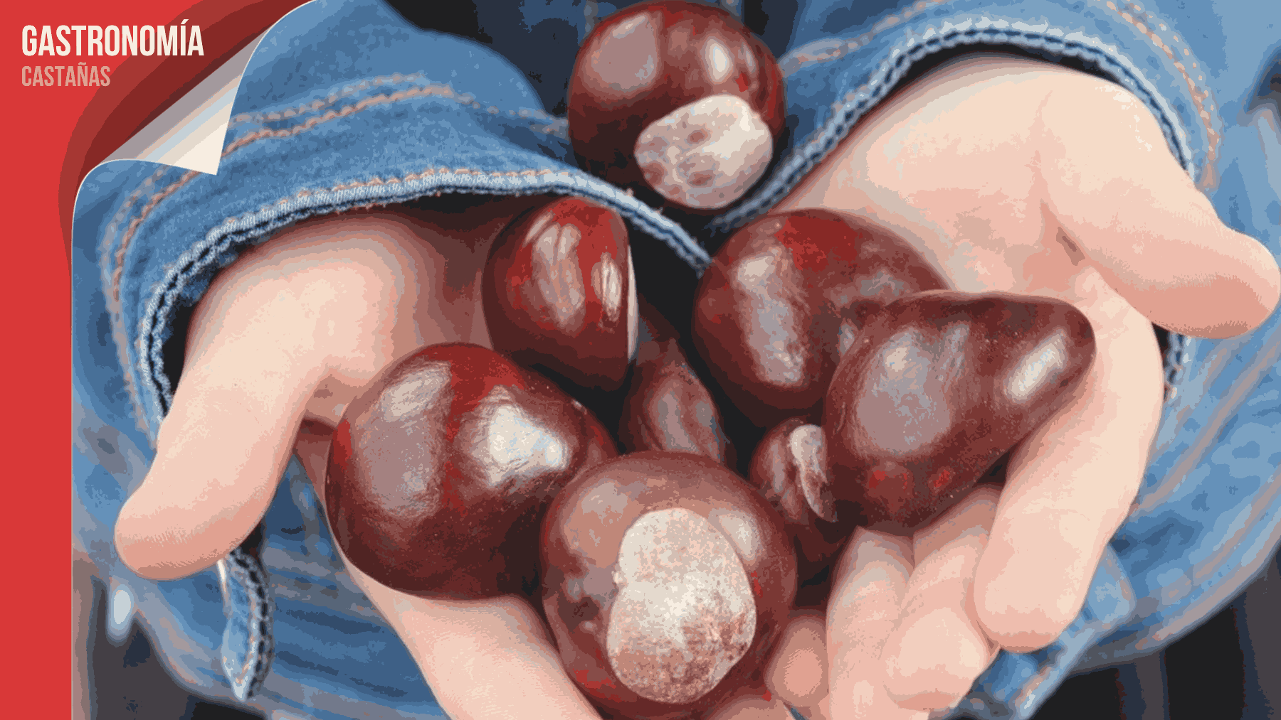 Recolecta de castañas.