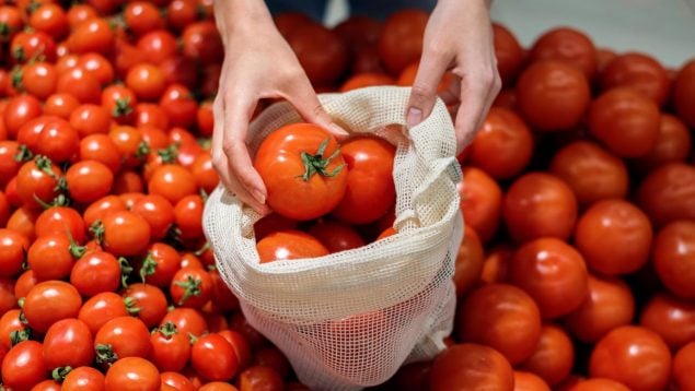 Tomates, nevera, curiosidades