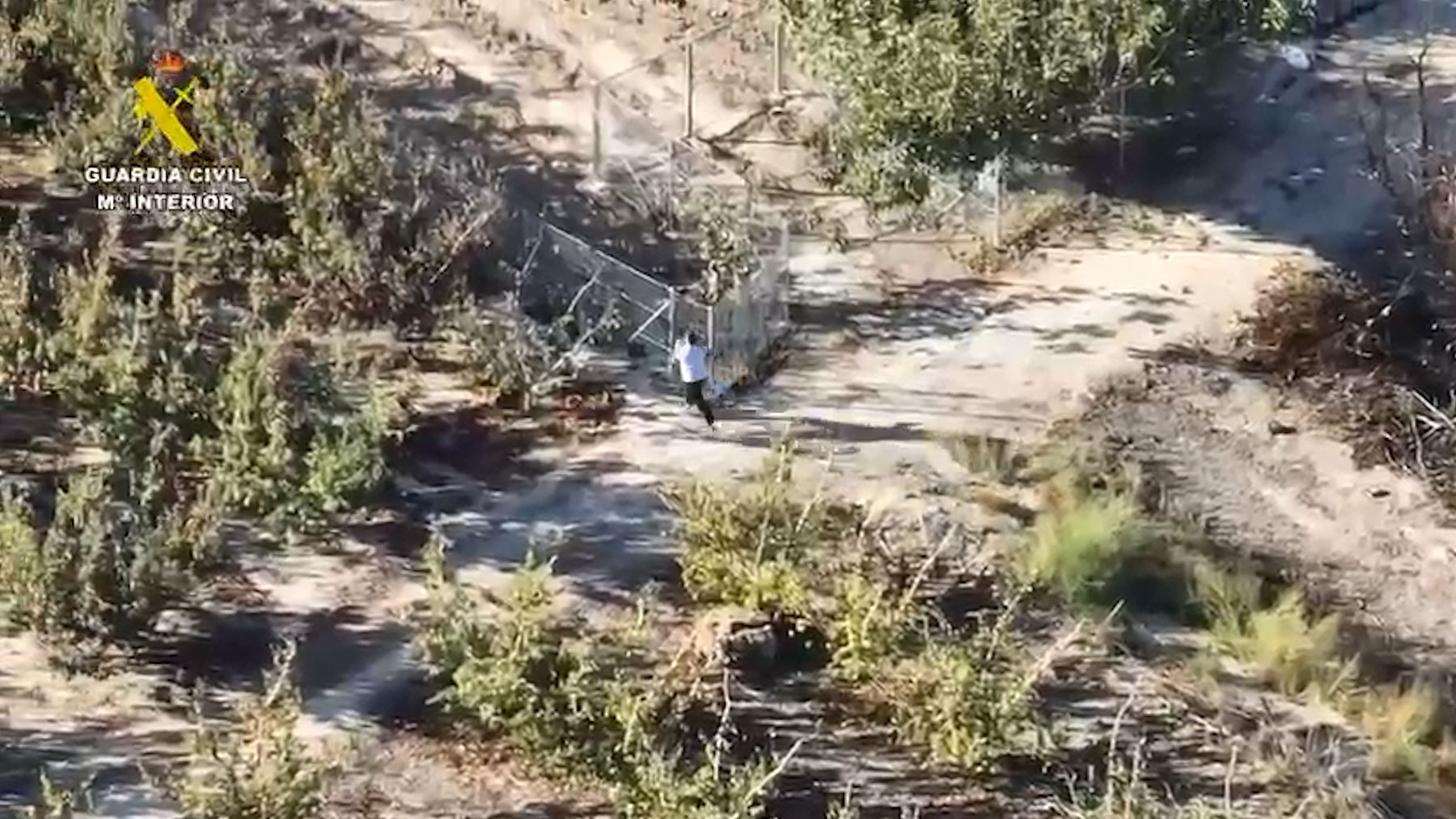 Las imágenes de la caza con drones de un peligroso ladrón de Murcia huyendo campo a través