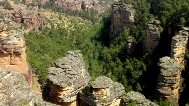 Bosque fósil, Guadalajara, curiosidades