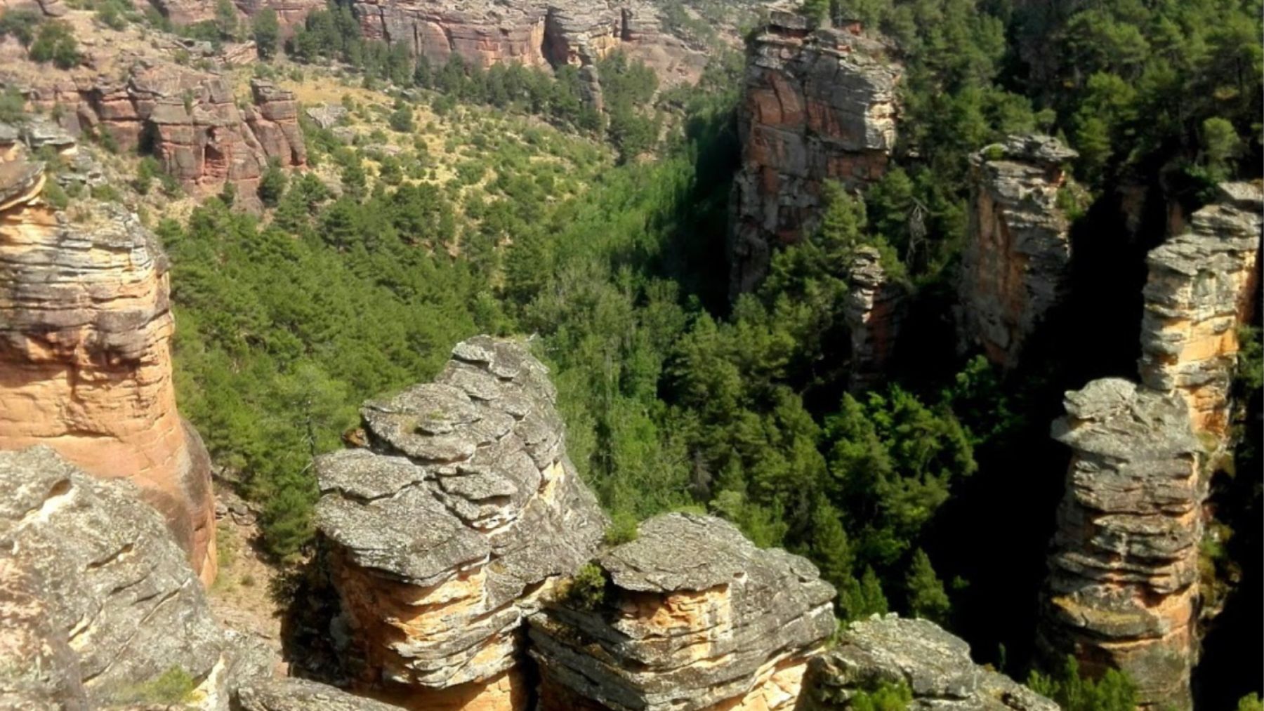 Parece Arizona, pero está a 2 horas de Madrid y es uno de los bosques fósiles mejor conservados del mundo