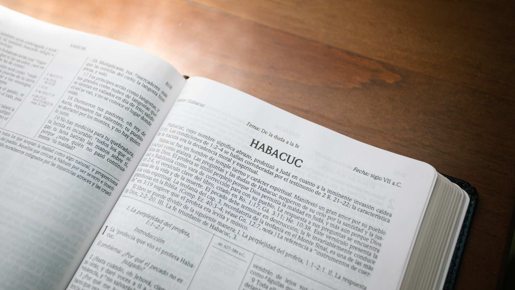 Habacuc en la Biblia.