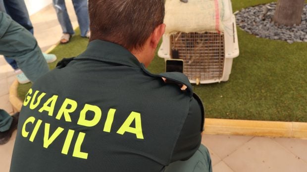 serval guardia civil