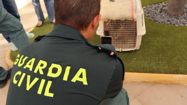 mujer muerta paliza Catarroja