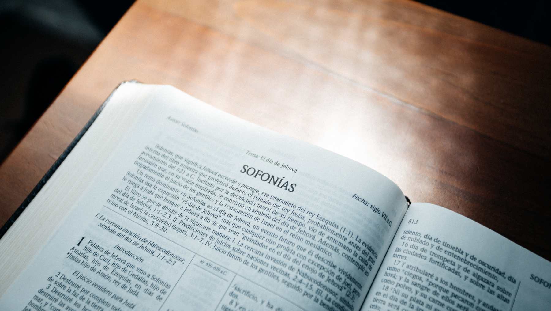 Sofonías en contexto.