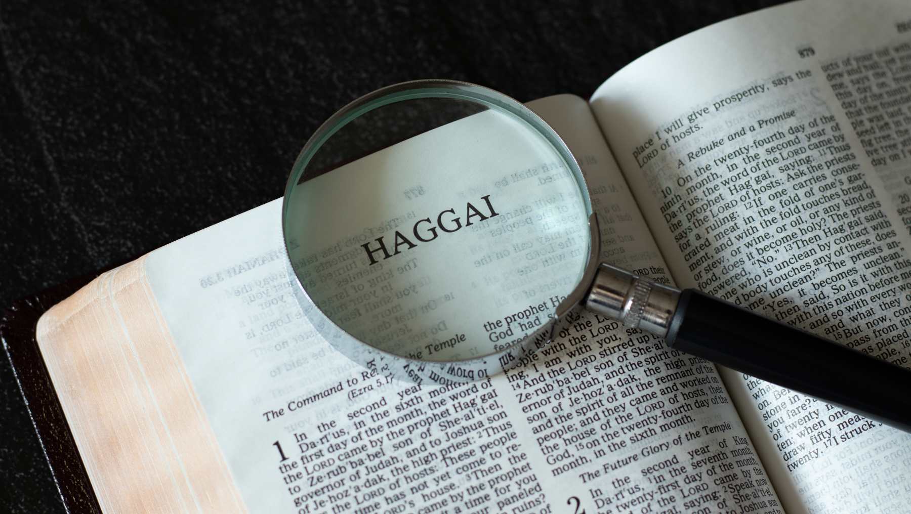 Hageo y la reconstrucción del templo.