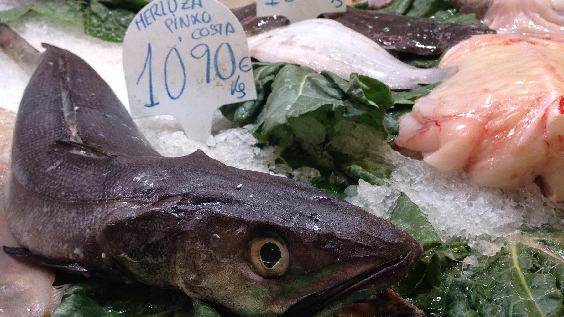 Los pescadores gallegos están que trinan: obligados a devolver al mar sus capturas por la caída brutal de precios