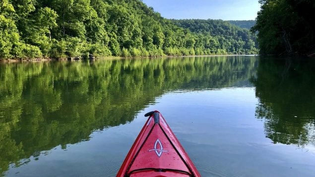 Científicos descubren que los ríos absorben CO2, ayuda de los ríos en el cambio climático, los ríos emiten CO2, descubrimiento científico en Estados Unidos de medioambiente.