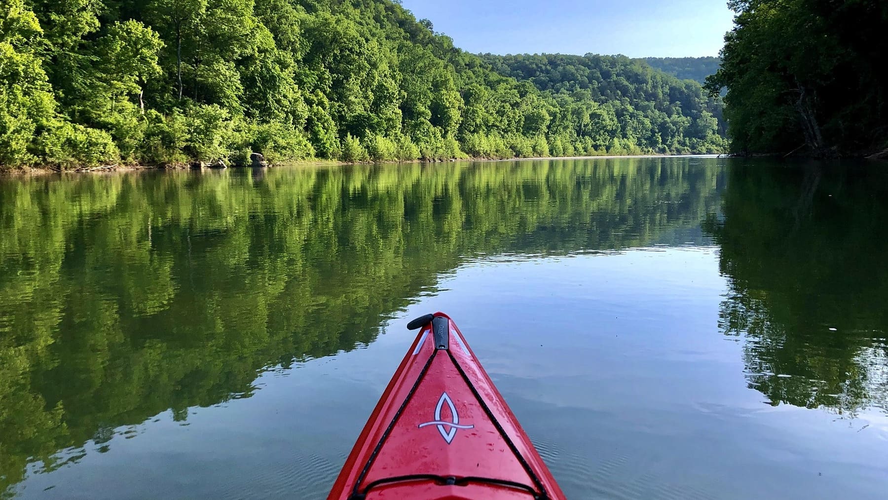 Los investigadores no dan crédito: descubren que algunos ríos absorben CO2 en lugar de expulsarlo