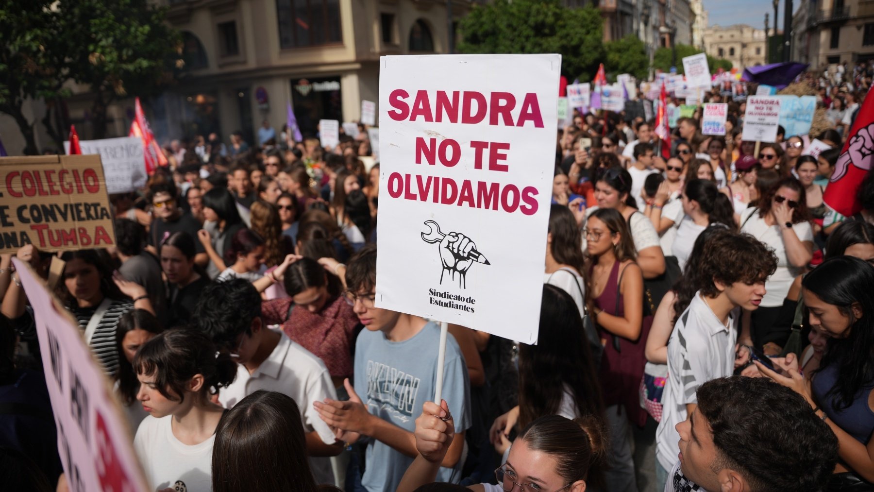Pancartas contra el acoso escolar en la huelga general estudiantil en solidaridad con Sandra Peña en Sevilla. (EP)