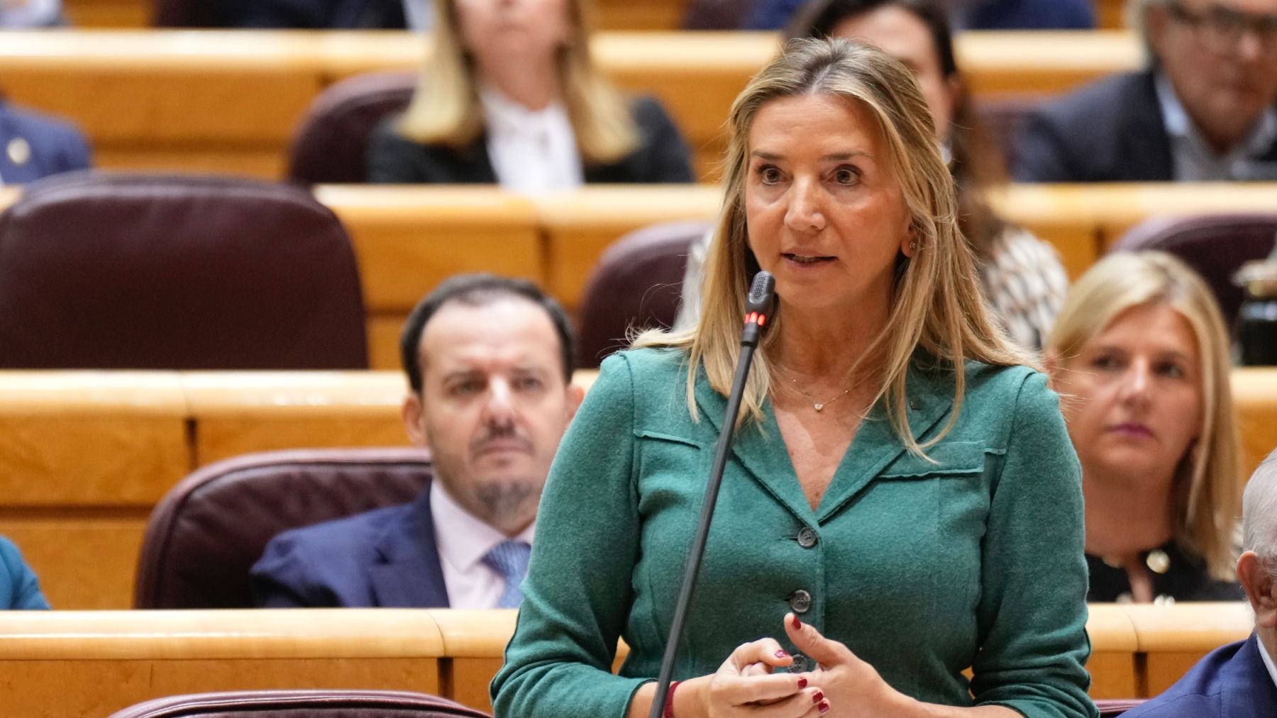 Alicia García, portavoz del PP en el Senado. (PP)