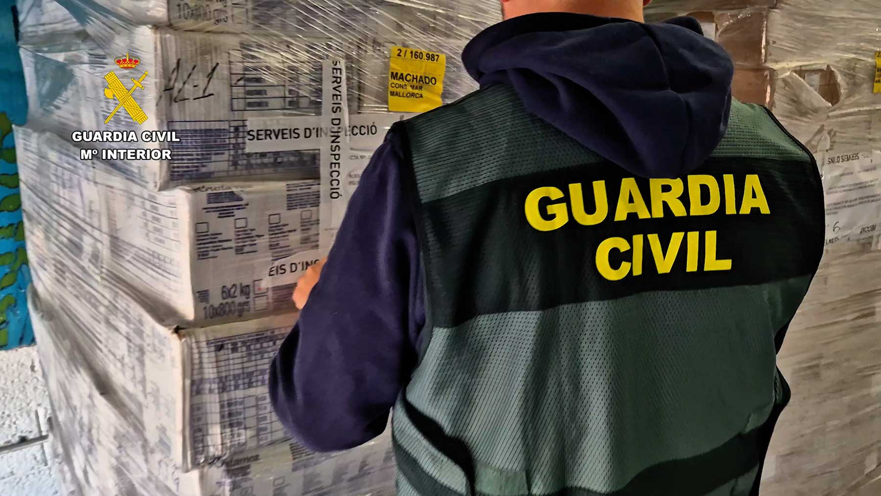 Un guardia civil del Seprona revisando el pescado y marisco incautado.