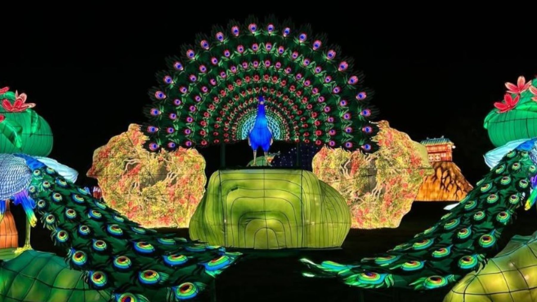 Brilla Zoo Madrid. (Foto: DondegoMadrid)