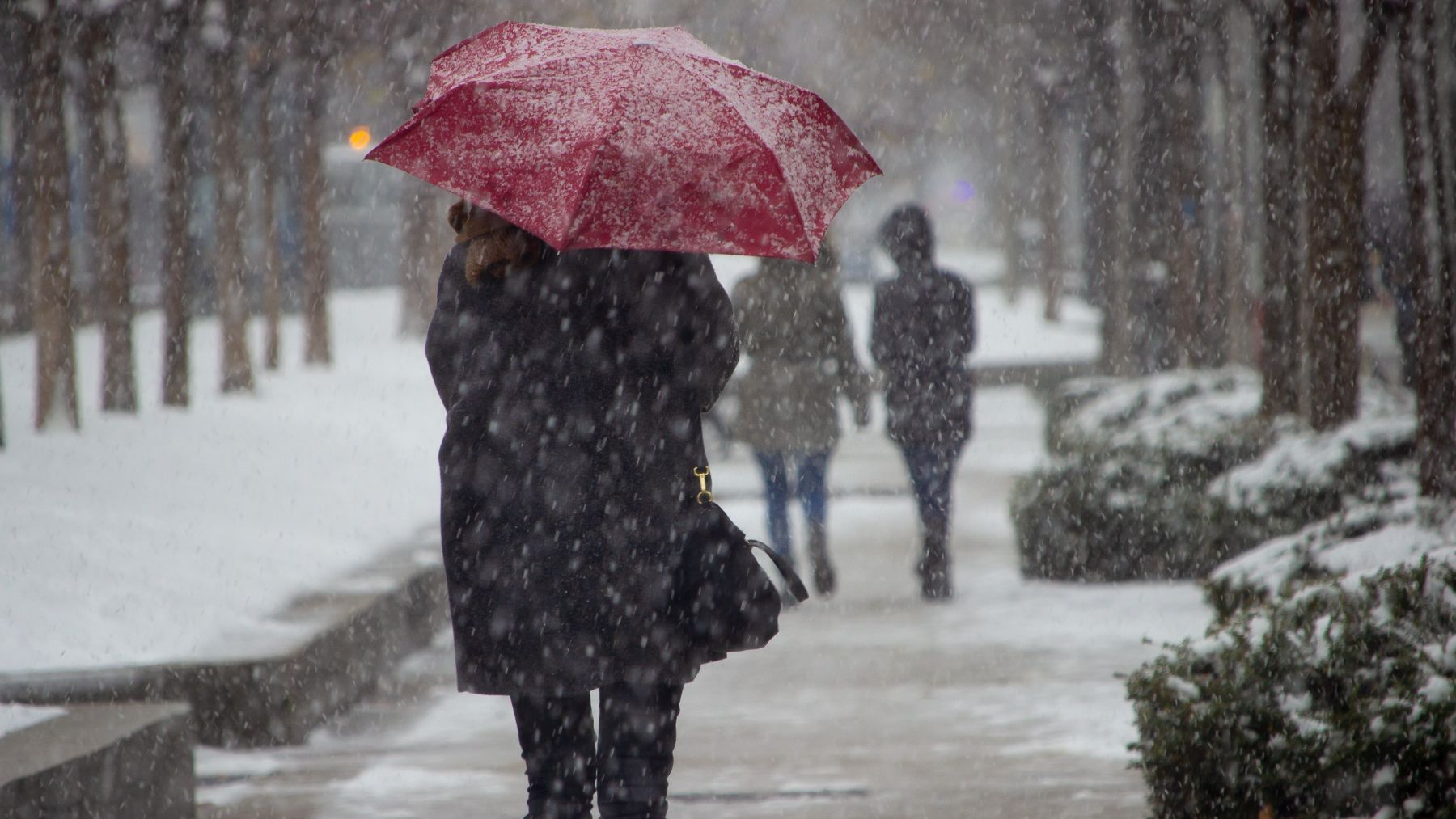 Estos días parecerá que el invierno ha llegado de golpe a España.