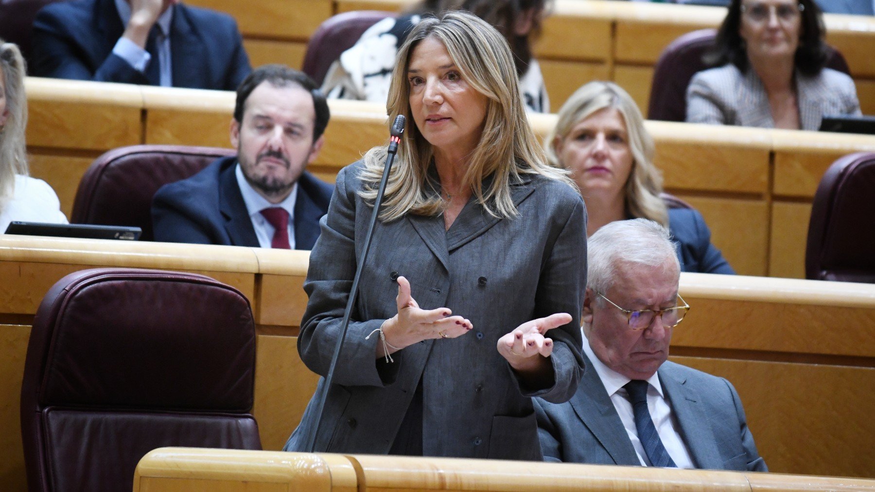 Alicia García, portavoz del PP en el Senado. (EP)