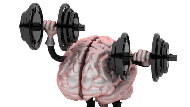 cerebro entrenamiento