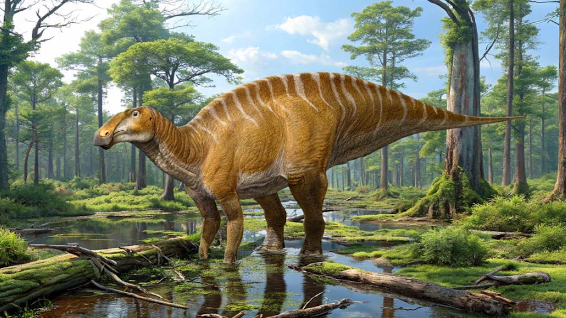 Parece ciencia ficción pero es real: descubren el fósil de un dinosaurio con cara de pato y 9000 kilos de peso