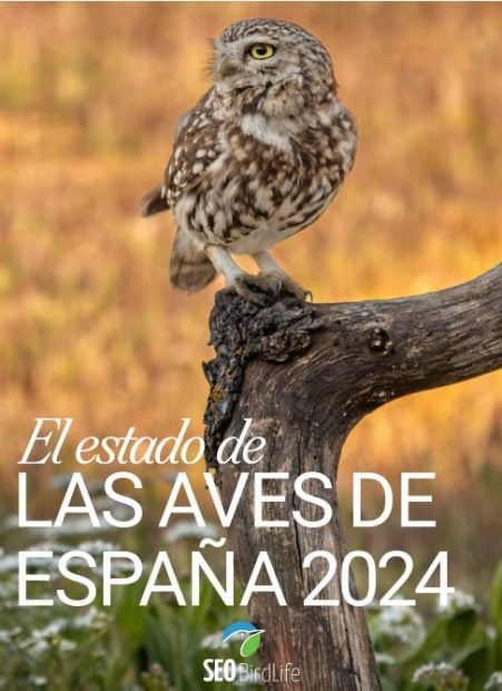 Estado de las aves SEO