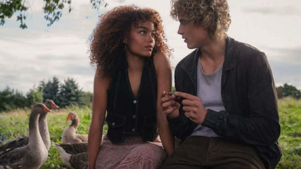 Amanecer en la cosecha