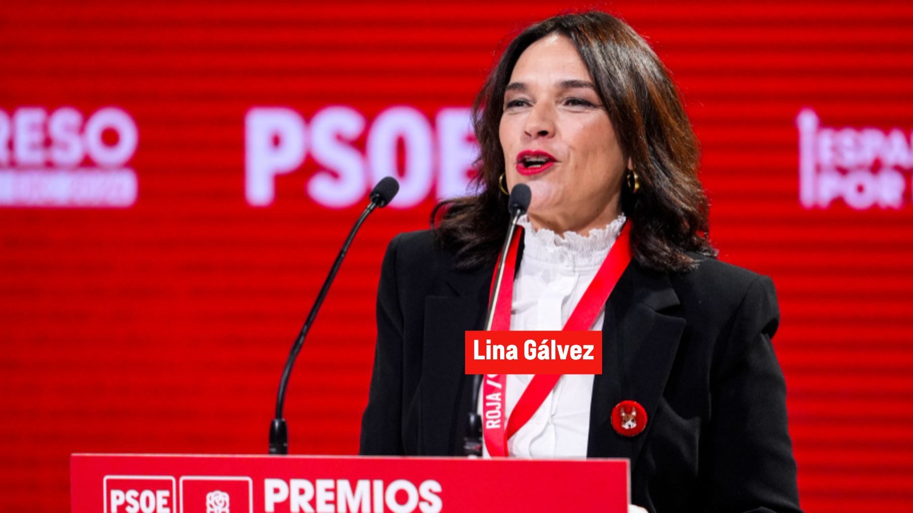 Una eurodiputada del PSOE acusa al Supremo de preparar el terreno para un enfrentamiento civil