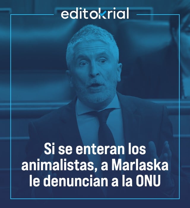 Si los animalistas se enteran en qué estado tiene Marlaska a los perros antidroga lo denuncian ante la ONU