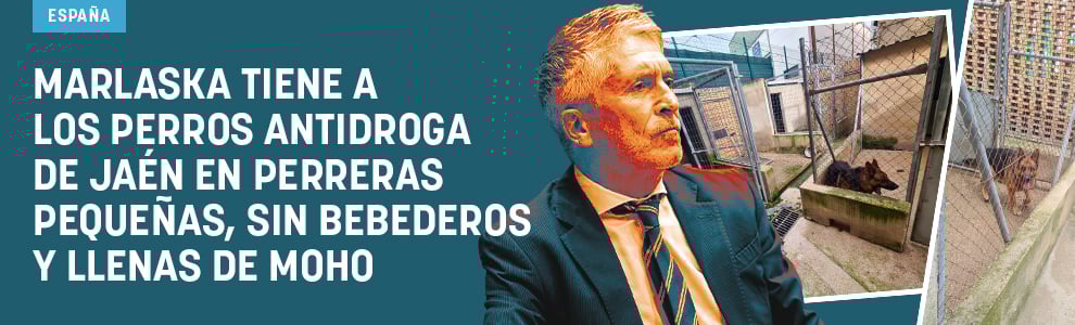 Marlaska tiene a los perros antidroga de Jaén en perreras pequeñas, sin bebederos y llenas de moho