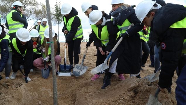 Esta mañana se han plantado los primeros árboles del Parque Forestal Princesa Leonor, el gran pulmón verde de Alcobendas