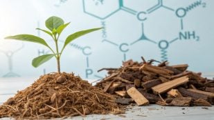 Residuos vegetales, materiales. ciencia, descubrimientos