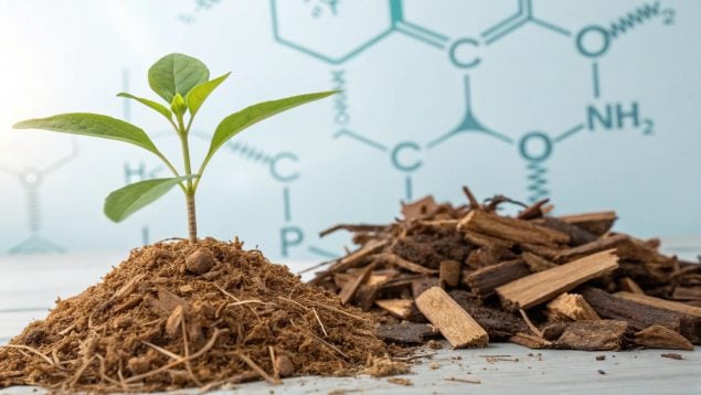 Residuos vegetales, materiales. ciencia, descubrimientos