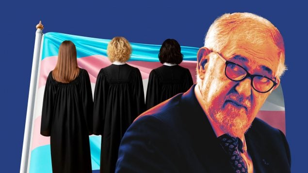 Ley Trans Constitucional