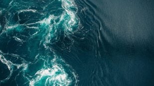 La corriente oceánica