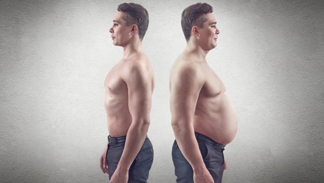 grasa abdominal y envejecimiento cerebro