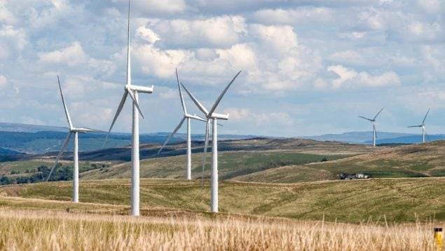 Descubrimiento del impacto de la energía eólica en las aves, impacto turbinas eólicas en la fauna española, energía eólica daña al águila imperial, energía eólica y fauna autóctona.