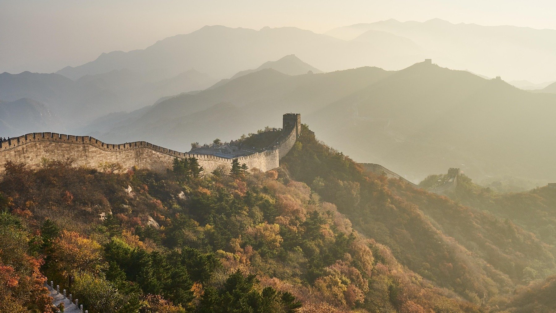 Terremoto en la industria minera: confirmado el hallazgo de tierras raras creciendo dentro de una planta viva