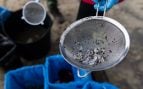 pélets encontrados en la playa de Bos, en enero de 2024, en Noia (La Coruña). (Foto:Europa Press).