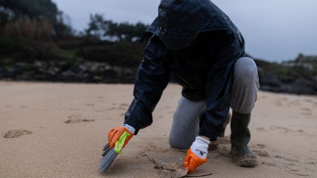 Voluntario limpiado la playa de p&eacute;lets. (Foto:Europa Press). 