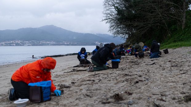 Voluntarios recogiendo pellets en las playas gallegas. (Foto:Europa Press).