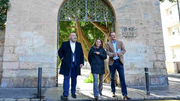 el terreno plaza gomila