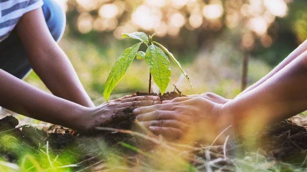 Proteger medioambiente