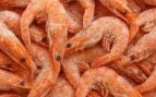 Gambas congeladas, truco, truco de cocina