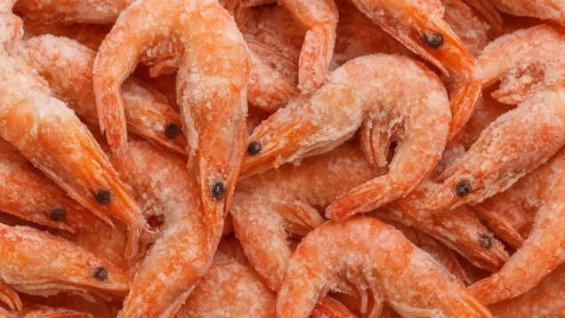 Gambas congeladas, truco, truco de cocina