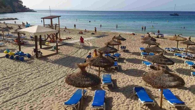 Palma playas hamacas