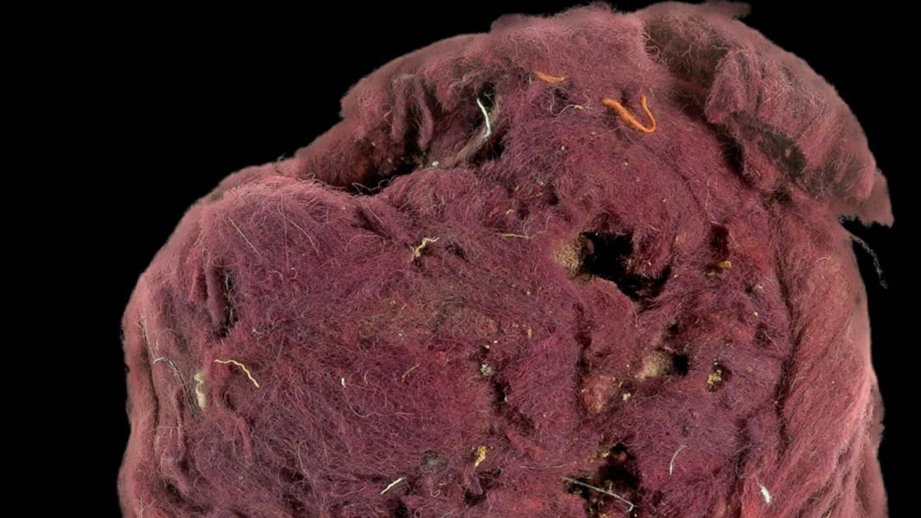 Un asombroso hallazgo en Israel desvela que hace 2000 años ya se falsificaban artículos de lujo