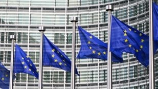 matrimonios homosexuales, Unión Europea: pasaporte perros gatos