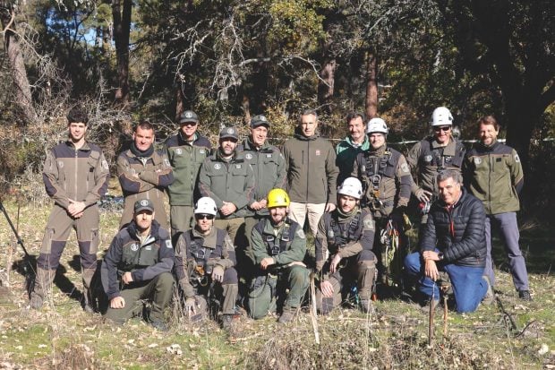 Agentes forestales altura madrid novillo