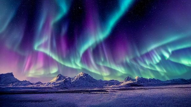 Aurora boreal artico