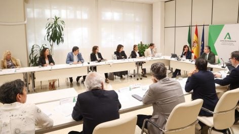 Comisión de seguimiento del programa del cribado del cáncer de mama en Andalucía. (Junta)