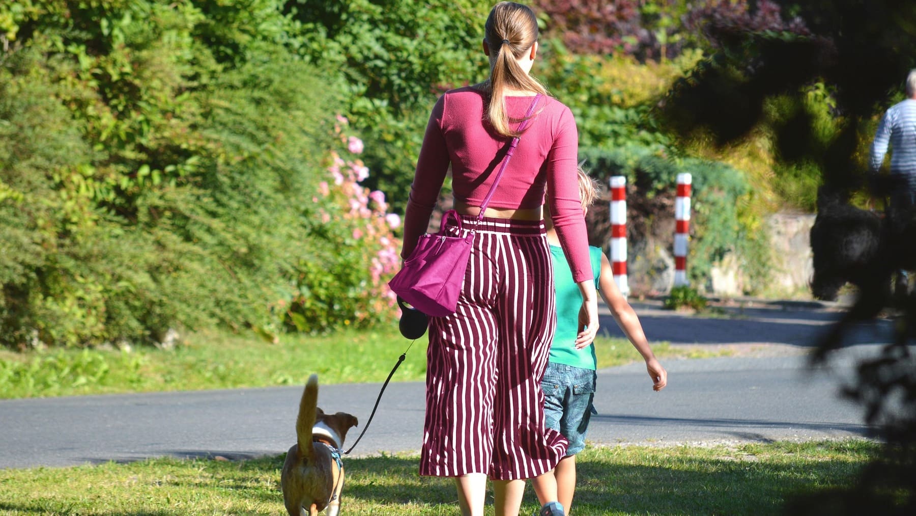¿Cómo debemos decir en español, idos o iros? La RAE deja claro cuál es la forma correcta de este imperativo