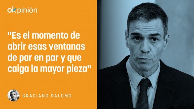 Opinión Palomo Aldama